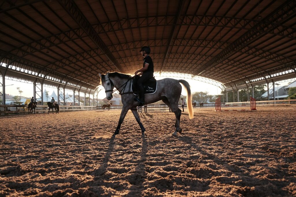 Horse riding - dvayu