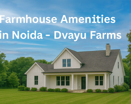 Farmhouse Amenities in Noida – Dvayu Farms