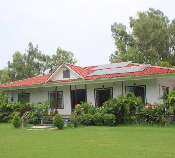 Move to Nature