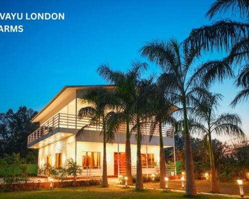 Farmhouse Plots for Sale Near Noida Expressway