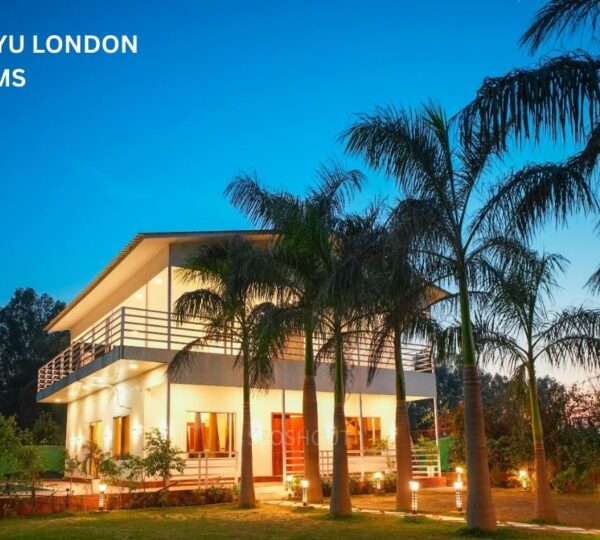 Farmhouse Plots for Sale Near Noida Expressway