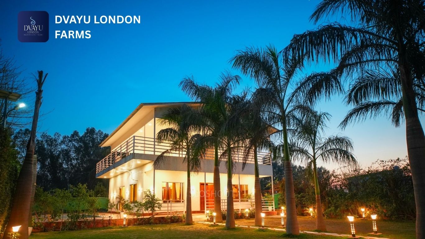 Farmhouse Plots for Sale Near Noida Expressway