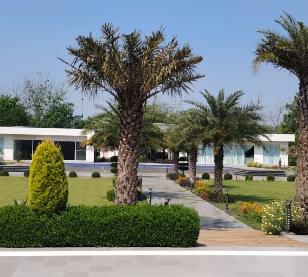 Luxury Living Experience