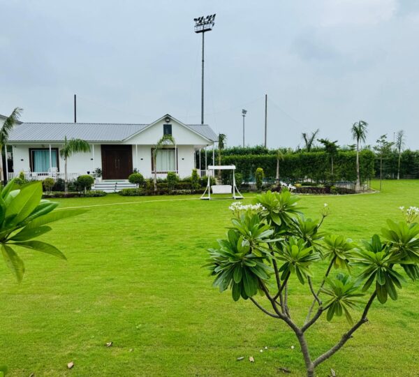 Luxury Living Experience