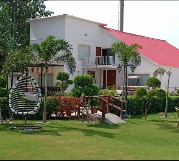 Luxury Living Experience