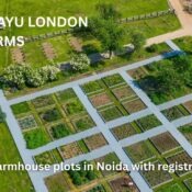 Farmhouse Plots in Noida with Registry