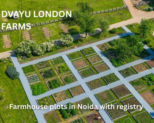 Farmhouse Plots in Noida with Registry