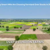 Why Smart HNIs Are Choosing Farmland Over Stocks in 2026