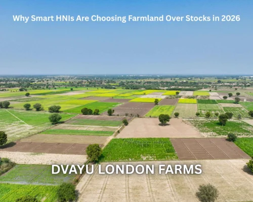 Why Smart HNIs Are Choosing Farmland Over Stocks in 2026