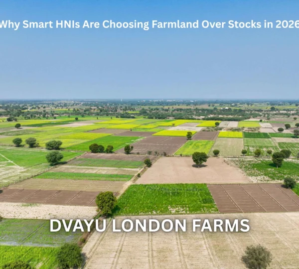 Why Smart HNIs Are Choosing Farmland Over Stocks in 2026