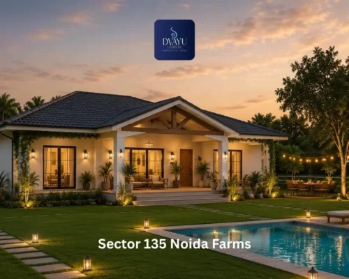 Sector 135 Noida Farms